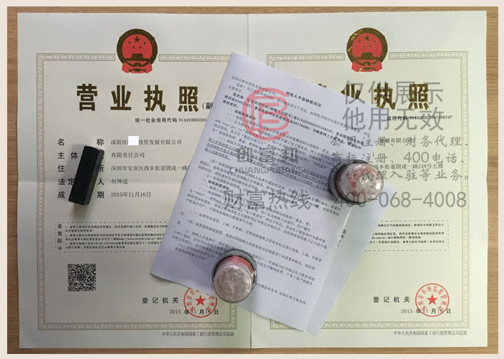 深圳市某某投资发展有限公司证件展示